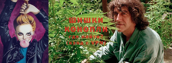 мяу мяу мука Володарск