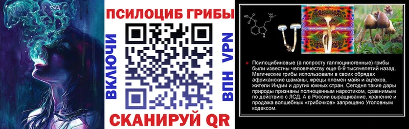 Галлюциногенные грибы Cubensis  купить   Любань 